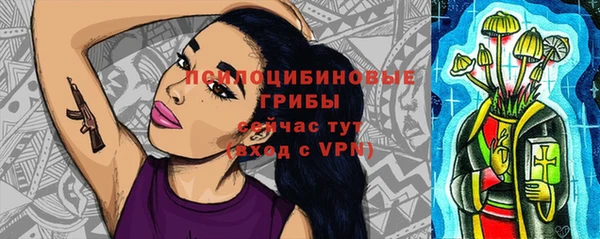 PSILOCYBIN Беломорск