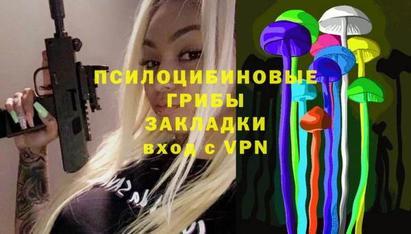 PSILOCYBIN Беломорск